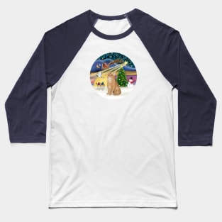 "Christ Magic" with an Orange Tabby Cat Baseball T-Shirt